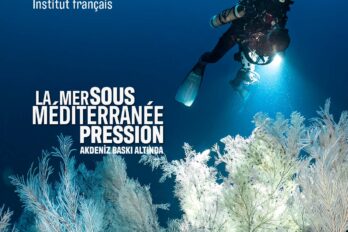 SERGİ – MEDITERRANEO – BASKI ALTINDA BİR DENİZ