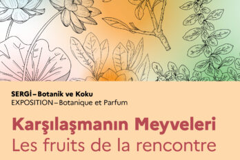 SERGİ – KARŞILAŞMANIN MEYVELERİ