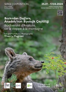 EXPOSITION : Biodiversité d’Anatolie, de la steppe à la montagne