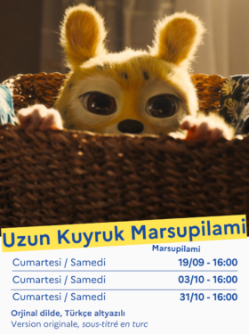 SİNEMA – UZUN KUYRUK MARSUPİLAMİ